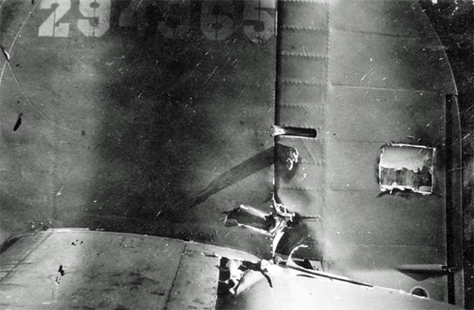 Angel photograph
