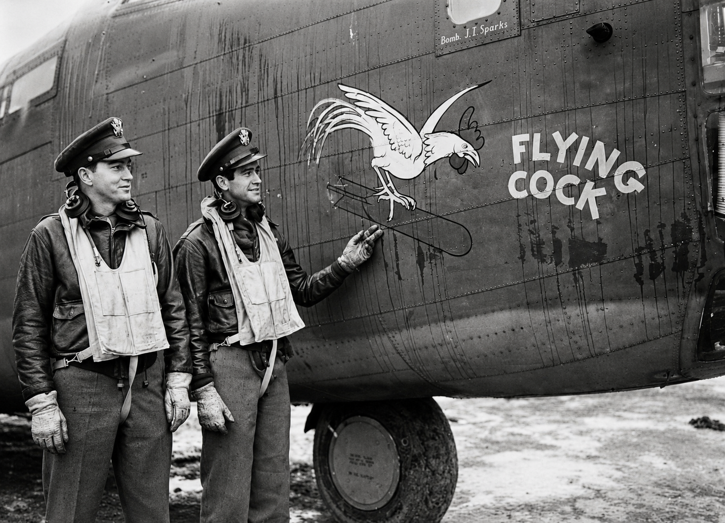 Flying Cock / Doodle Bug photograph