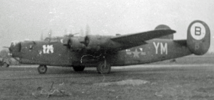 Bar Fly photograph