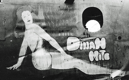 Nose art for Dinah Mite