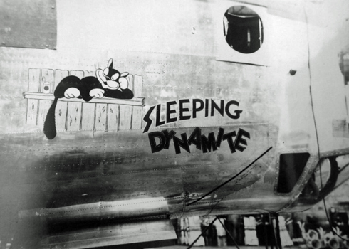 Sleeping Dynamite photograph