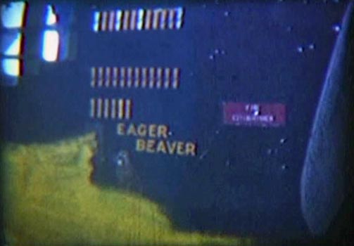 Eager Beaver photograph