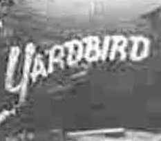 Nose art for Yardbird / Hitler's Hearse