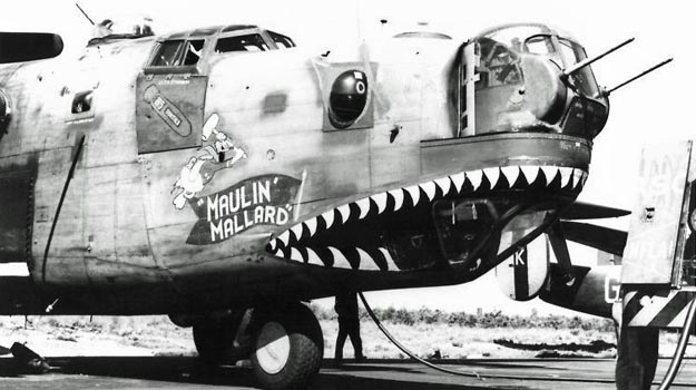Maulin Mallard photograph