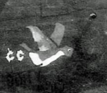 Nose art for Doity Boid