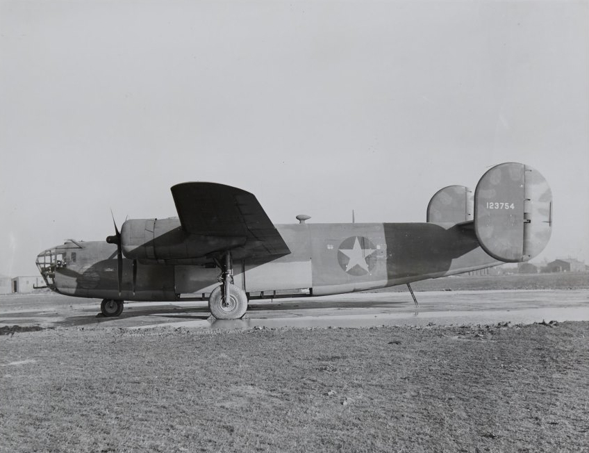 Teggie Ann photograph