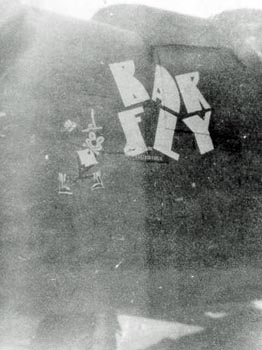 Nose art for Bar Fly