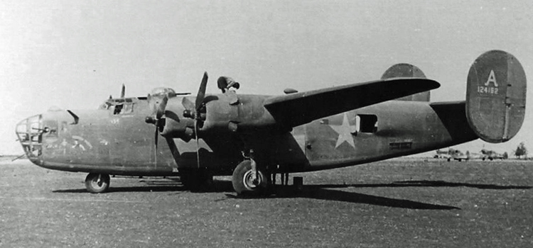 Dogpatch Raider photograph