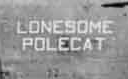Nose art for Lonesome Polecat