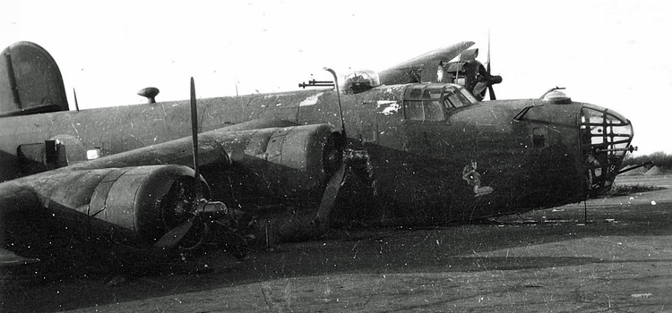 Tupelo Lass photograph