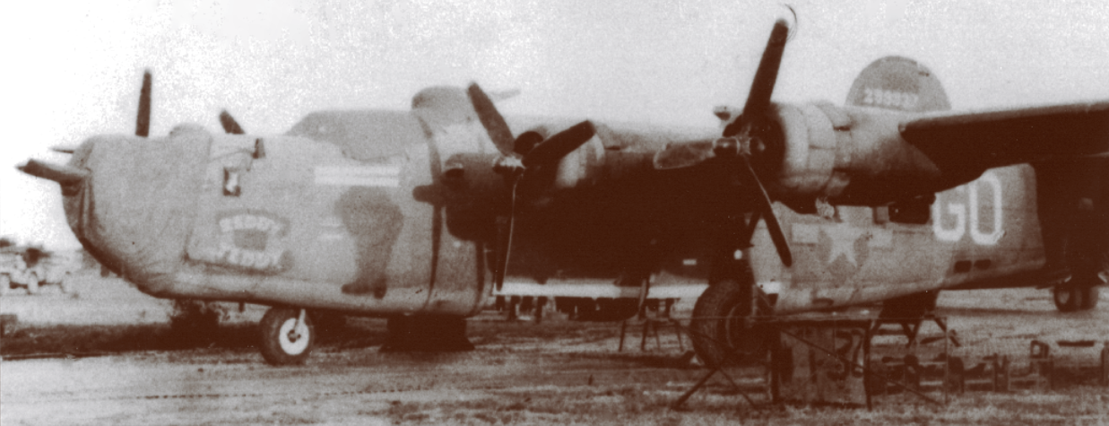 Reddy Teddy photograph