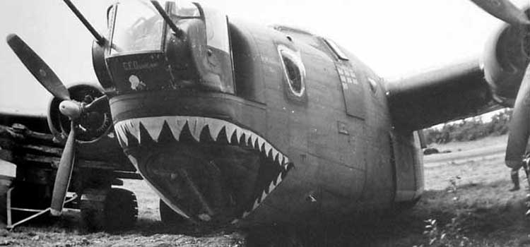 Liberator, The photograph