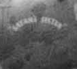 Nose art for Satan's Sister