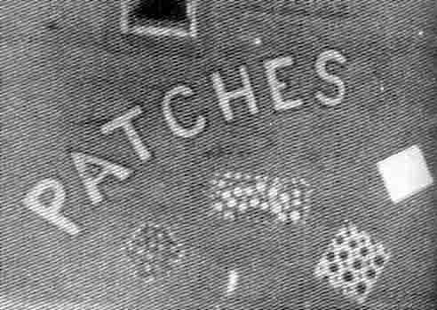 Patches photograph