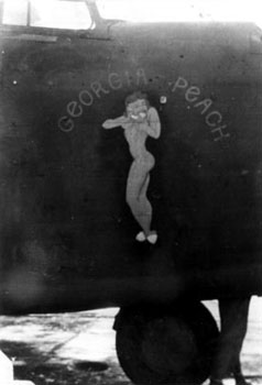Georgia Peach photograph