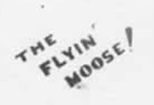 Nose art for The Flying Moose