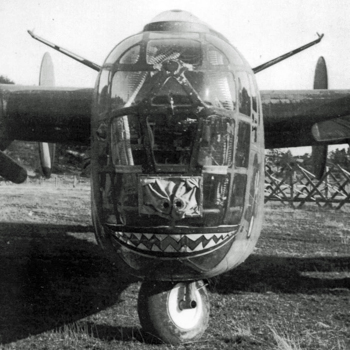 War Baby/Ball of Fire Jr. photograph
