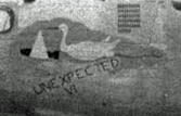 Nose art for Unexpected Visitor, The