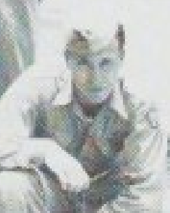 Donald M. South